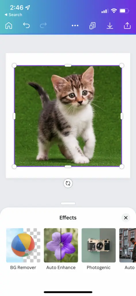 Canva Background remover mobile app, how to use Canva Background remover mobile app, how to remove background in Canva app, photo background remover on Canva mobile app