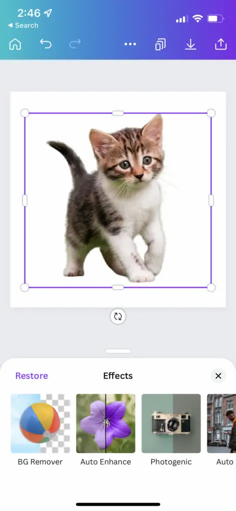 Canva Background remover mobile app, how to use Canva Background remover mobile app, how to remove background in Canva app, photo background remover on Canva mobile app