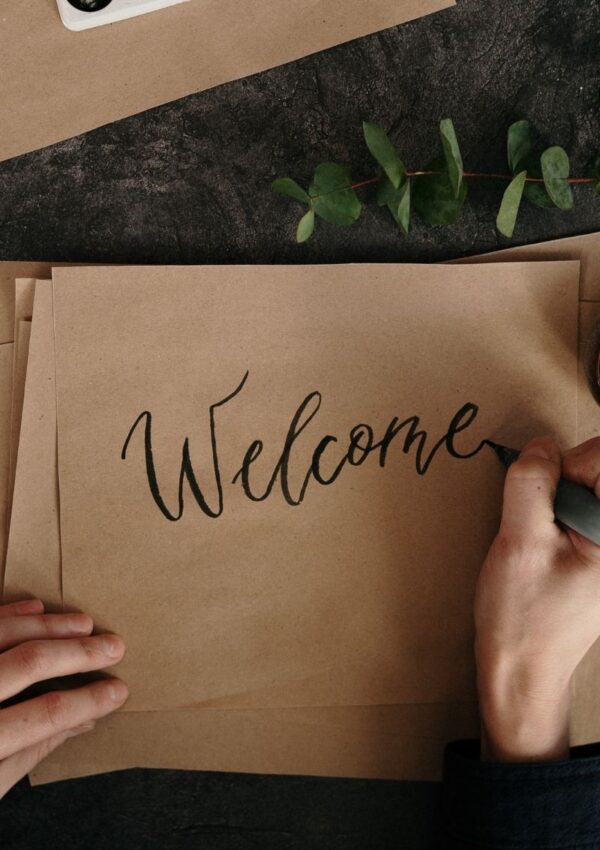 What Is a Script Font? Different Styles of Script Fonts and How to Use Them