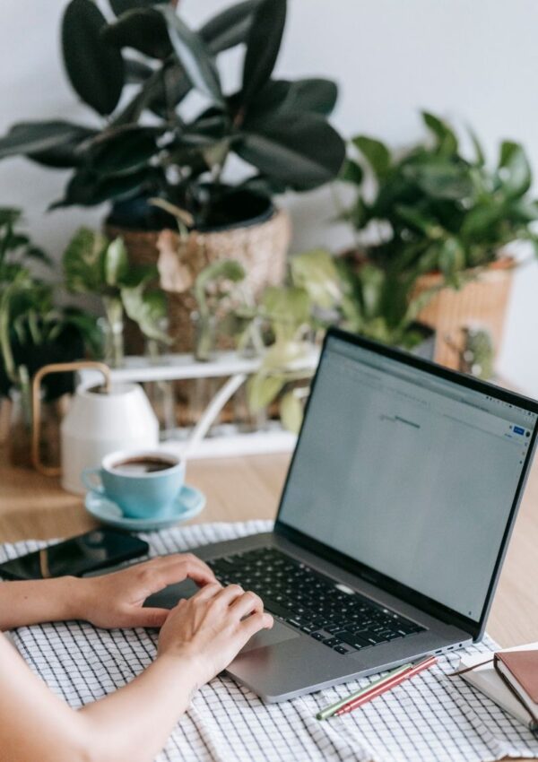 how to use canva templates for free, how to use canva templates for clients