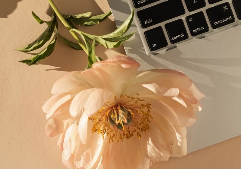 15 Common Canva Mistakes in 2025 (And How to Fix Them!)