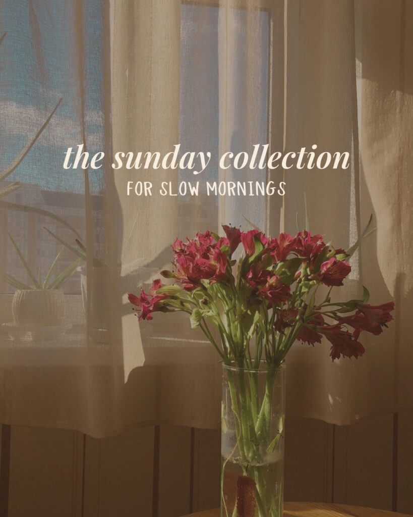 Canva font pairing example using Kindest Note script font with modern serif and sans serif fonts for branding